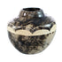 Native American Navajo Horse Hair Pottery JX130481